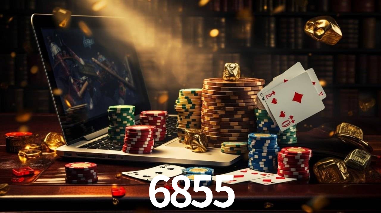 Programa VIP 6855