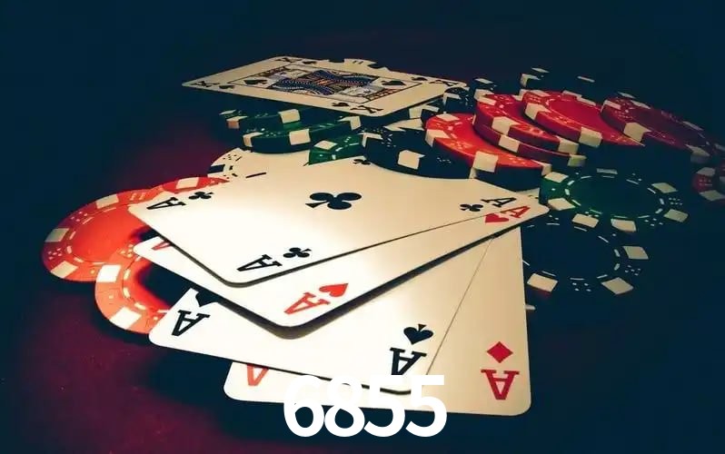 6855 Aplicativo - 6855 visual 2